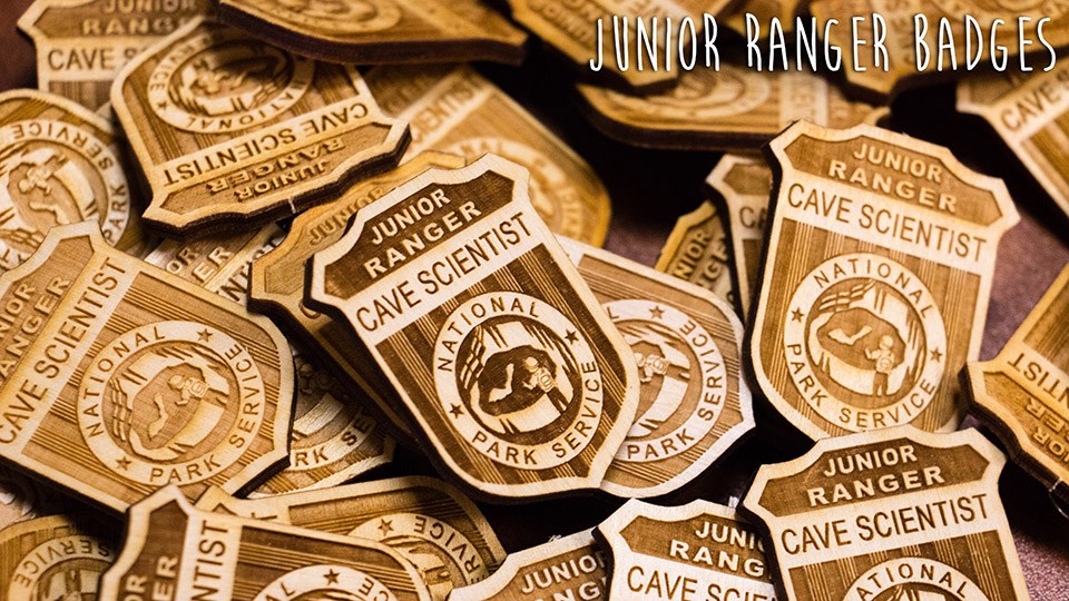 a pile of wooden badges with the text Junior Ranger Badgers