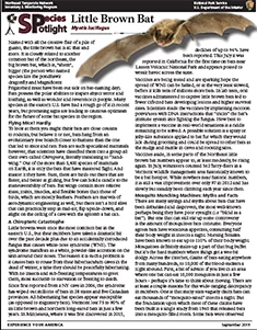 image of PDF image of PDF