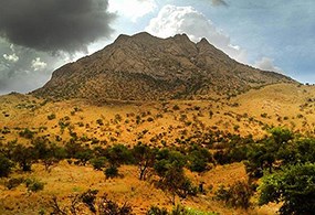 a small mountain covered in shrubs and low plant growth