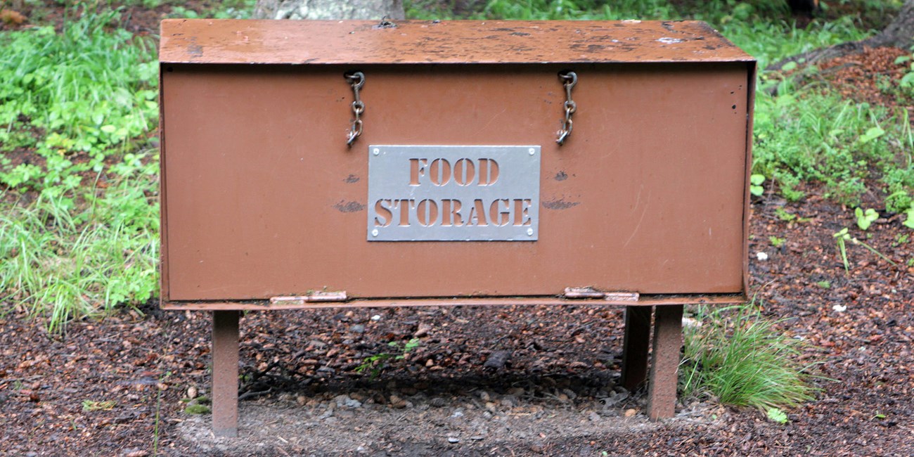 Food Storage Container