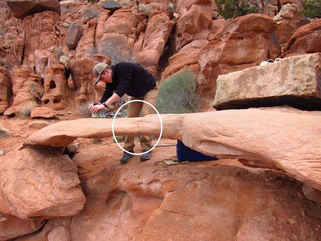 Monitoring Rainbow Arch