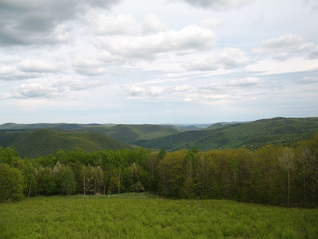 berkshires in MA Creative Commons Berkshire Mountains. By JBCurio CCBY2.0
