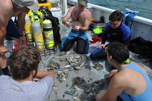 [photo] Archeologists sorting objects on deck of research boat.