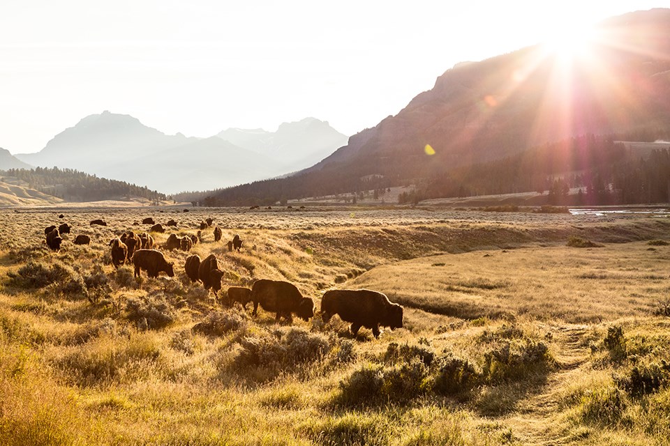 Debunking the America's Eden (U.S. National Park Service)