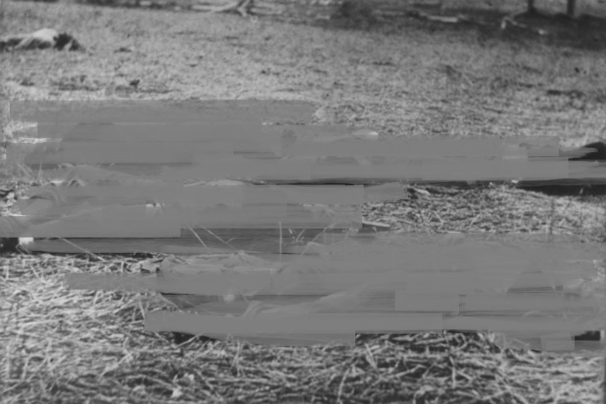 Blurred photo of dead Civil War soldiers.