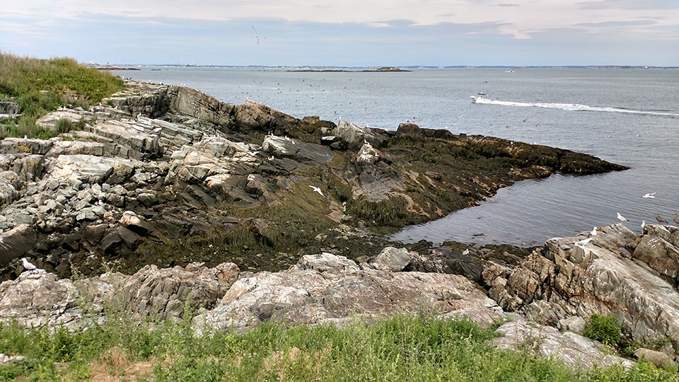 A rocky coast surrounded by blue ocean water with with sea birds and boat in the distance