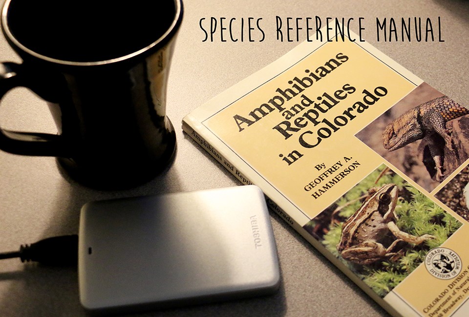 a species reference book, a black coffee mug, and a small harddrive on a desk