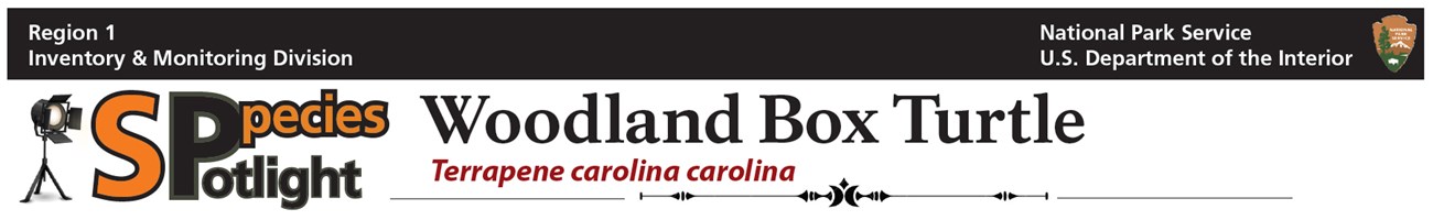 box t banner box t banner
