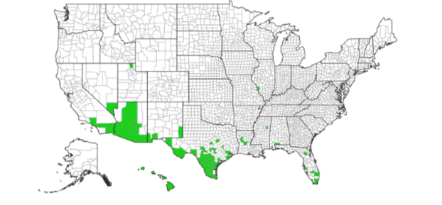 A map showing bufflegrass range