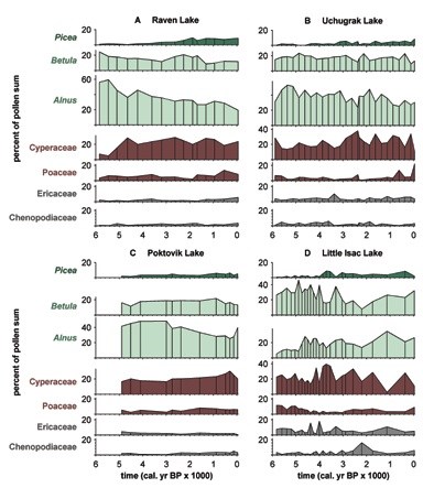 Fire frequencies measured for Raven, Uchugrak, Poktovik, and Little Isac lakes with white spruce, alder, birch, sedges and grasses.