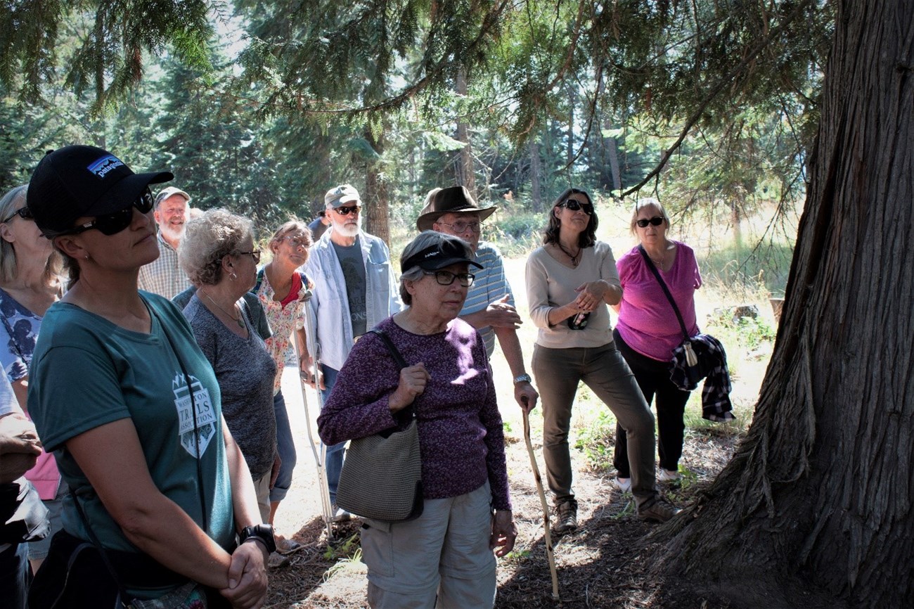 The open house provided an opportunity for community members to share their feedback on the draft action plan and enjoy the space by going on an interpretive hike through the forest. National Park Service photo.