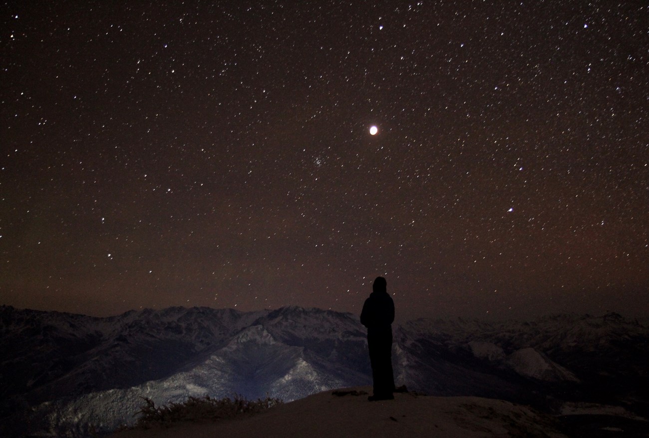 GIP Intern Katie Karnes, Denali National Park and Preserve, 2019. Night Sky Technician Katie Karnes watches a total lunar eclipse from Denali National Park, Alaska. Person stares up at a night sky with a lunar eclipse.