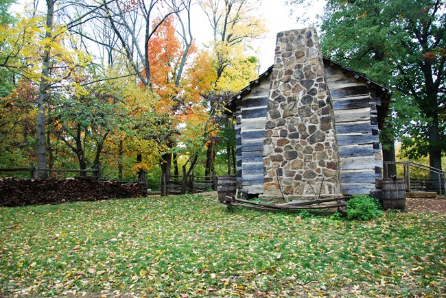 trees changing colors in the fall behind log cabin