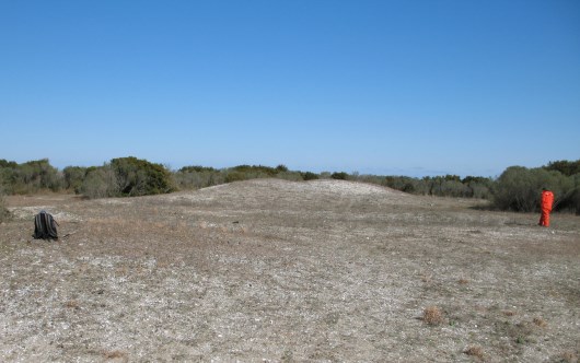 Shell mound at site CALO-40, Cape Lookout National Seashore