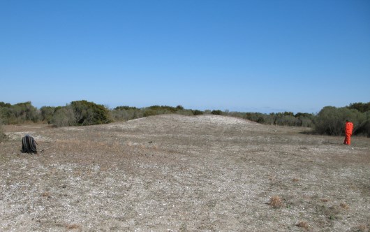 CALO-40, facing E, towards mound Shell mound/midden at Cape Lookout National Seashore Shell mound at site CALO-40, Cape Lookout National Seashore