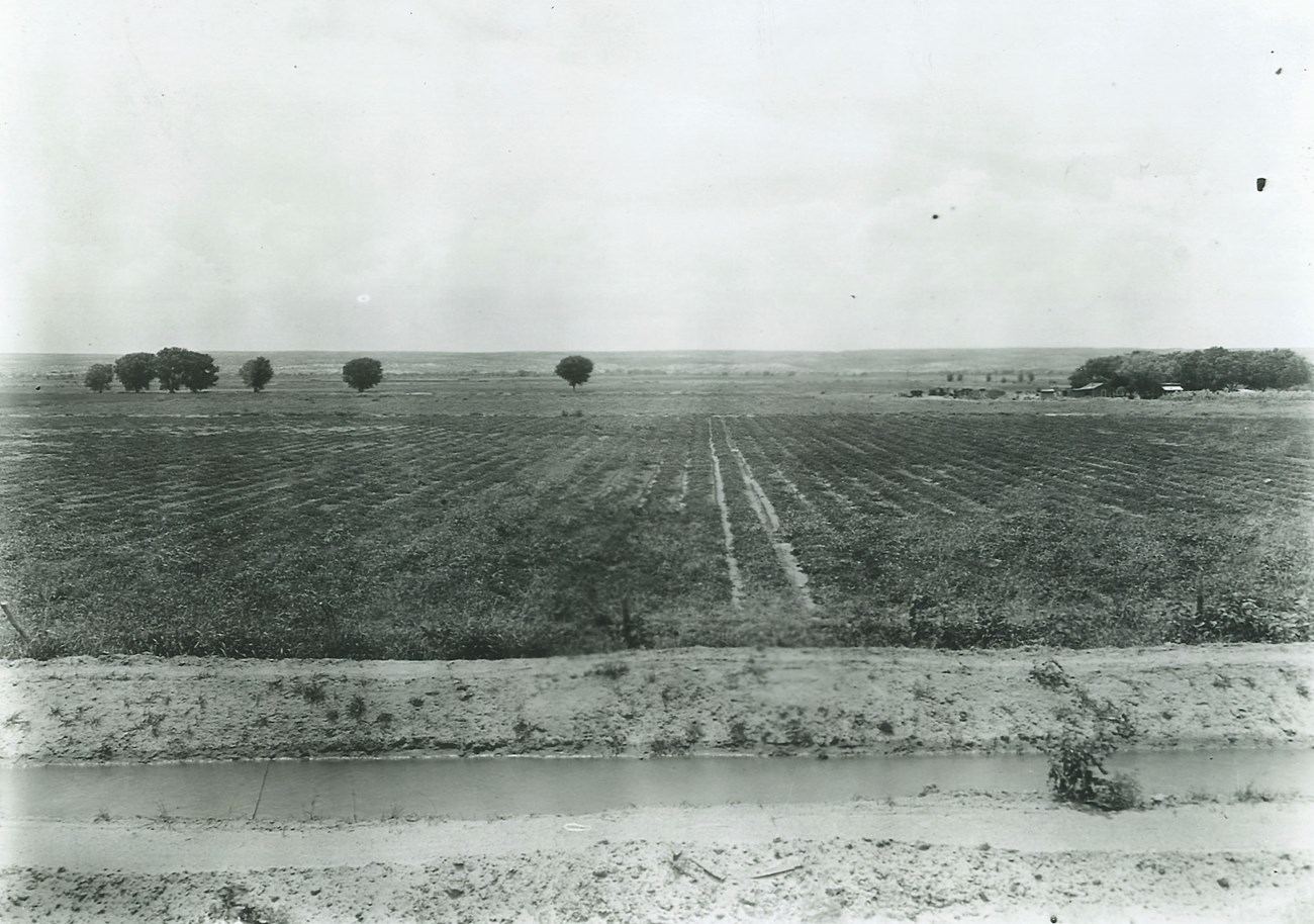 Irrigated Cantaloupe Fields, 1930, (National Archives and Records Administration; photographer unknown)