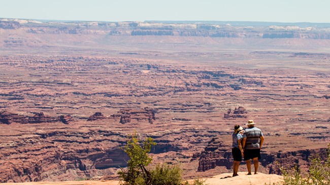 Park visitors looking out at Canyonlands