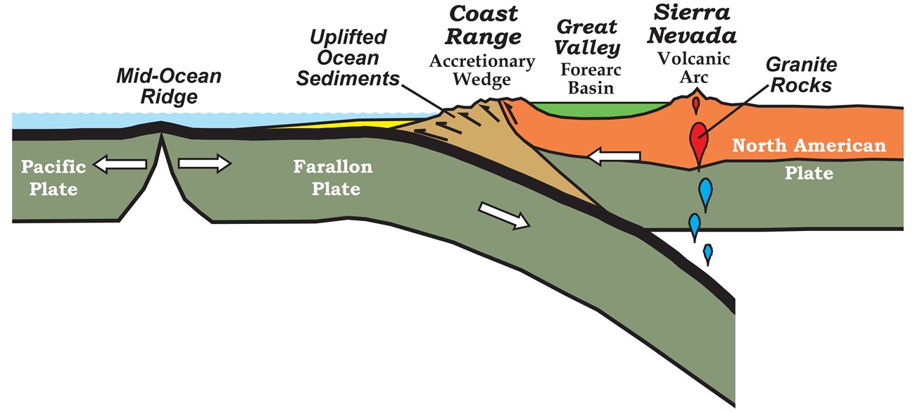 diagram of oceanic crust being subducted under continental crust