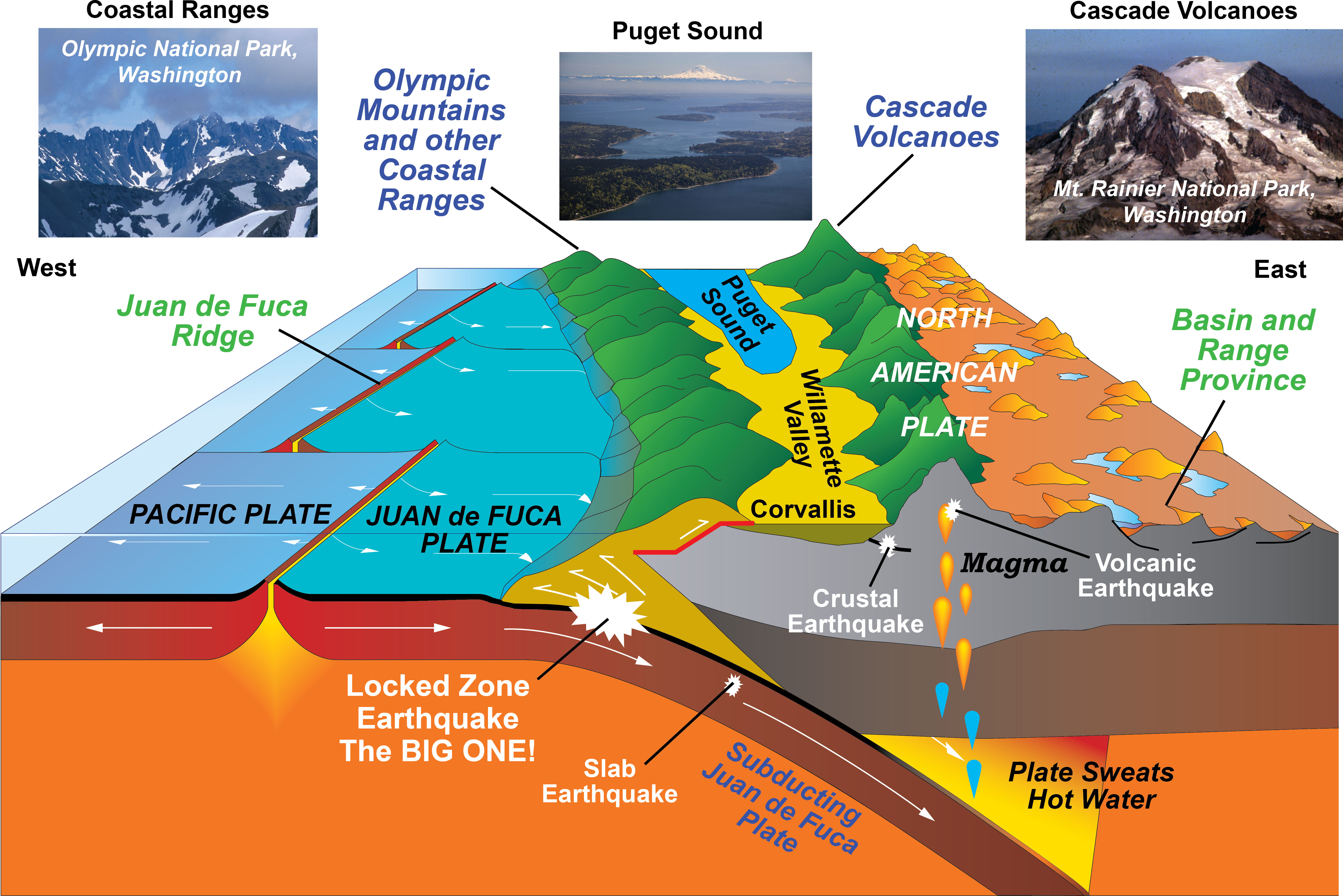 Volcanic Landforms, Volcanoes and Plate Tectonics