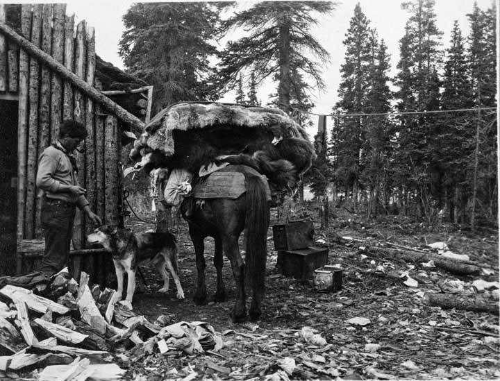 historic image of a man loading up items on a horse