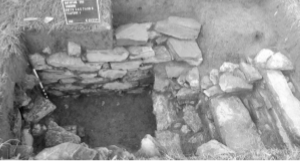 A square cellar pit layered with bricks against the wall. Stone stairs lead off to the right. Site label can be seen on the top left ground above the pit.