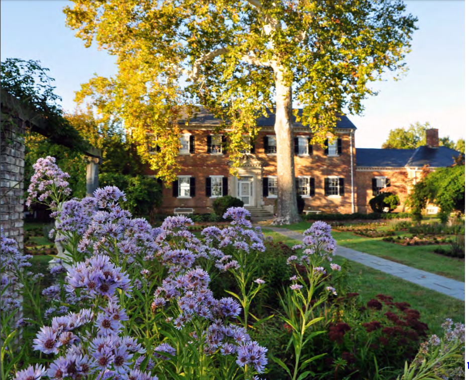 Blossoming plants in front of the manor