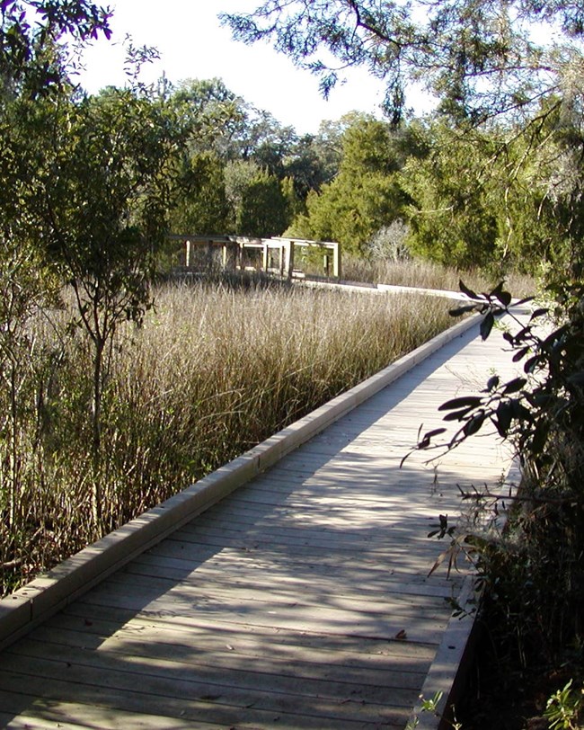 boardwalk trail