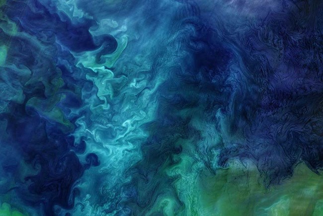 A swirling green-blue pattern emerges from satellite imagery of plankton blooms in the Arctic.