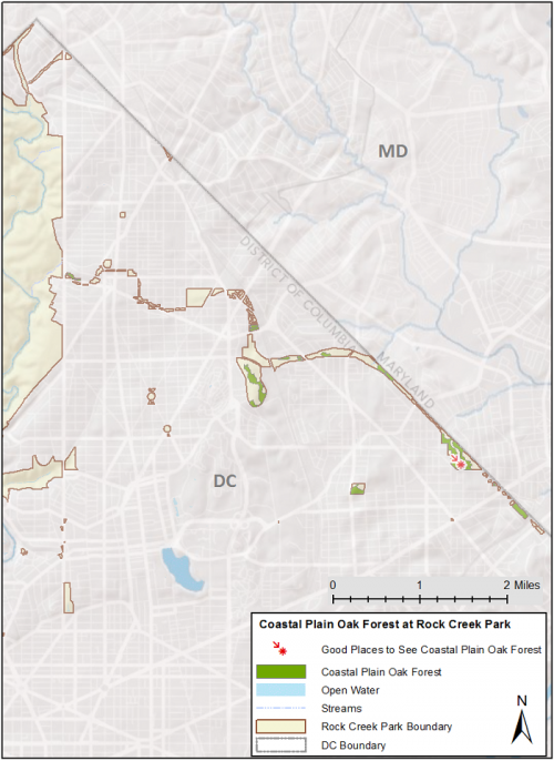 Map of Coastal Plain Oak Forest at Rock Creek Park with small legend of natural features Map of Coastal Plain Oak Forest at Rock Creek Park with small legend of natural features