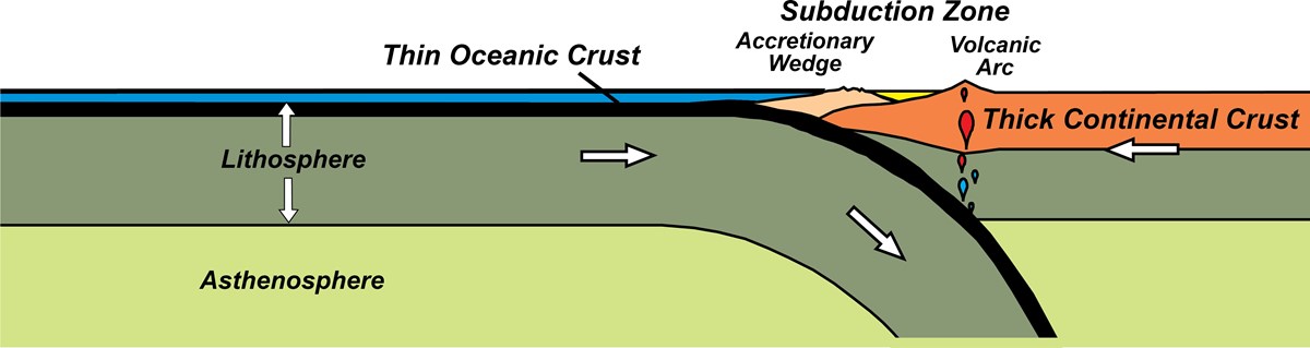 diagram of oceanic crust being subducted under continental crust