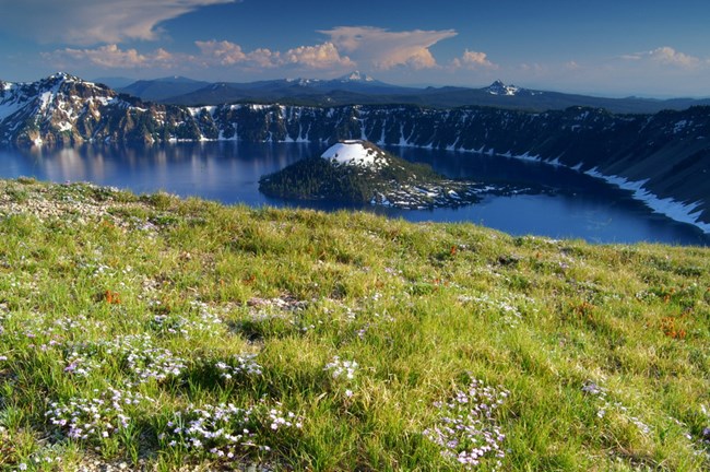 Scenic view of Crater Lake with wildflowers Scenic view of Crater Lake with wildflowers
