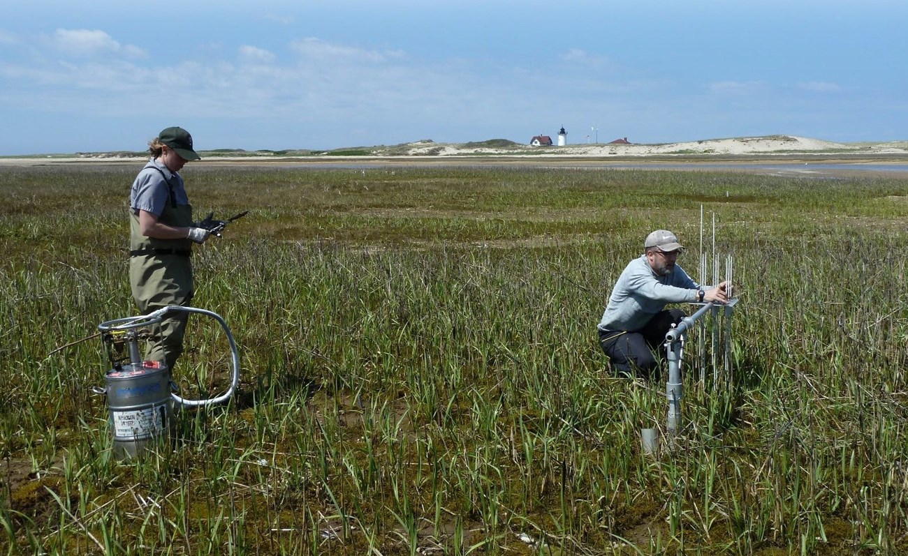 researchers use special elevation equipment on a salt marsh with dunes and a lighthouse in the background