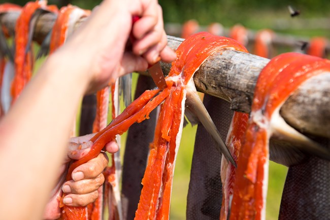 person cutting red fish fillets that are hanging on a wooden rod