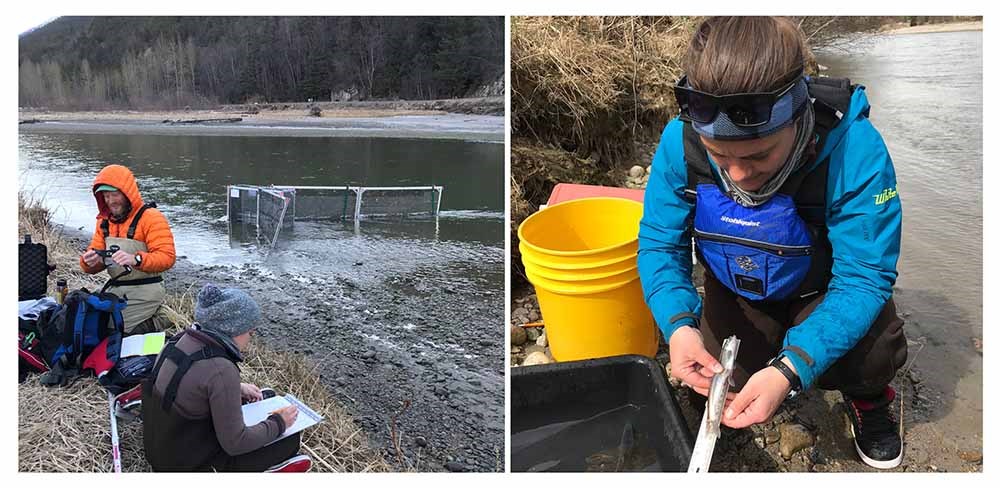 Researchers collecting data on the river.