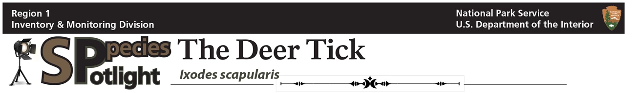 deerTick_banner deerTick_banner