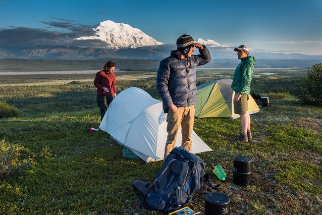 Campers at Denali