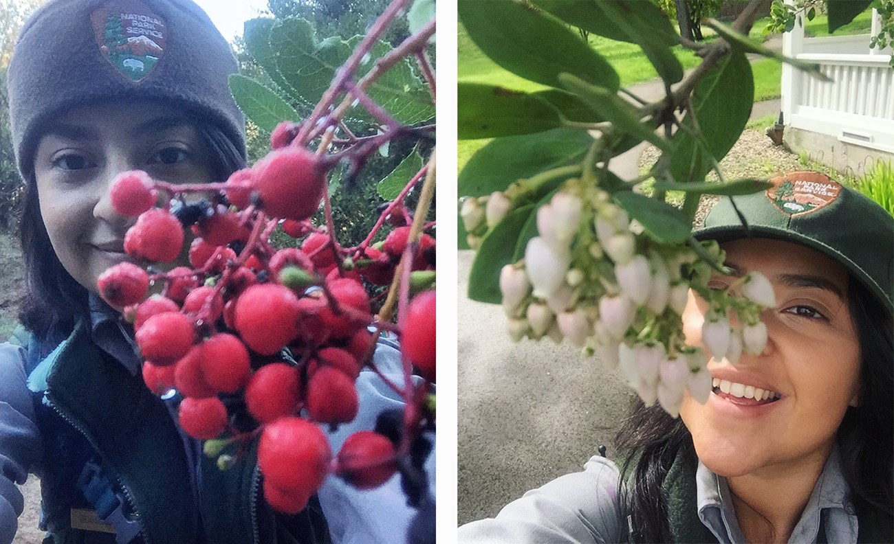 Side-by-side selfies of Biological Science Technician Denise Amador with plants in her face