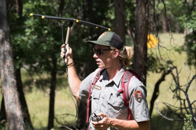 A ranger uses telemetry equipment to track bats, which looks like a satellite A ranger uses telemetry equipment to track bats, which looks like a satellite