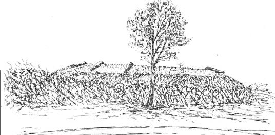 Hand drawn image of Fort Derussy with abatis, an obstacle formed of the sharpened branches of trees laid in a row, surrounding it.