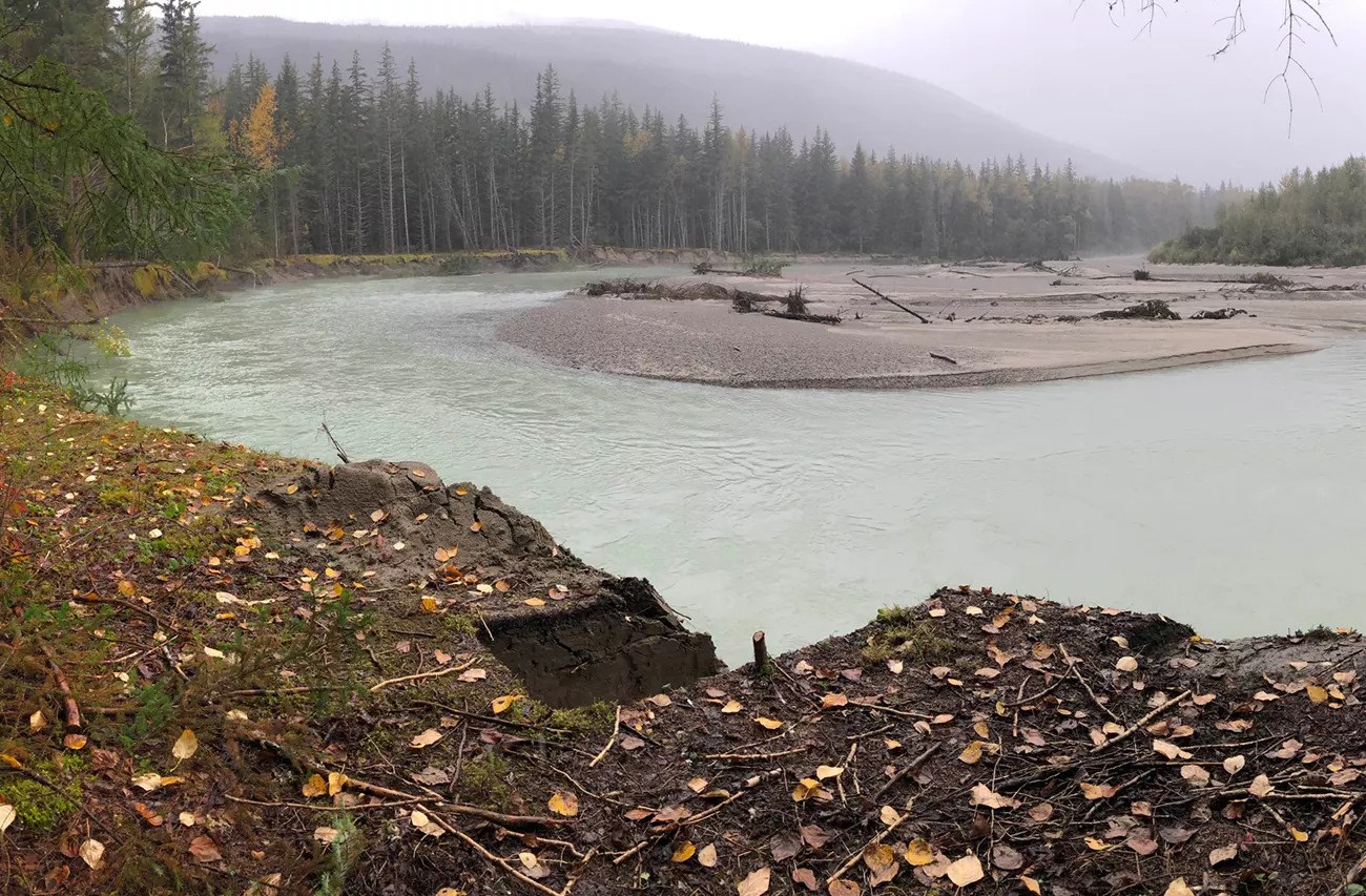 Archeological excavation at the historic gold rush townsite of Dyea were lost within one week of excavation, destroyed by the Taiya River. A wide shot of an exposed, desecrated river bank with a raging river in the foreground.