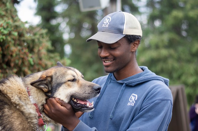 Man petting a dog