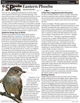 Phoebe PDF PDF of Phoebe brief.
