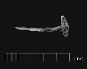 Photo of nail. Photo of nail.