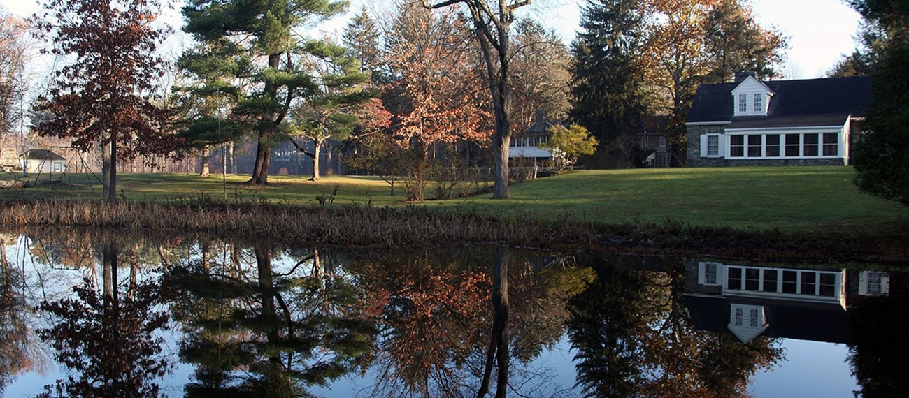 reflections on pond