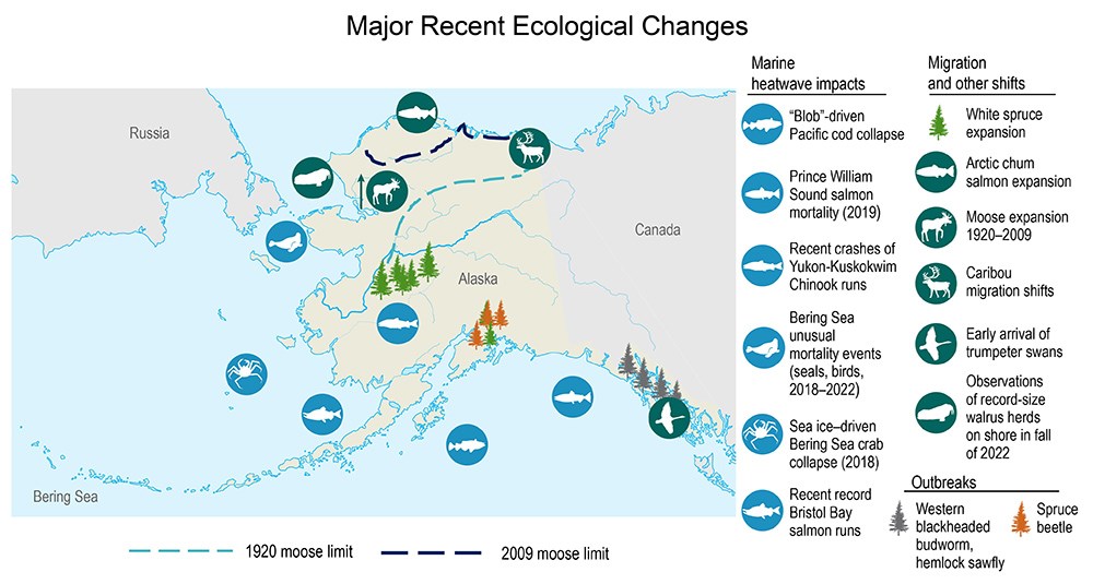 environmental change_web A graphic summarizing some of Alaska's climate change environmental impacts.