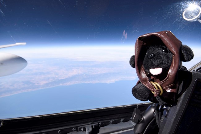 er2-8 toy dog high above earth