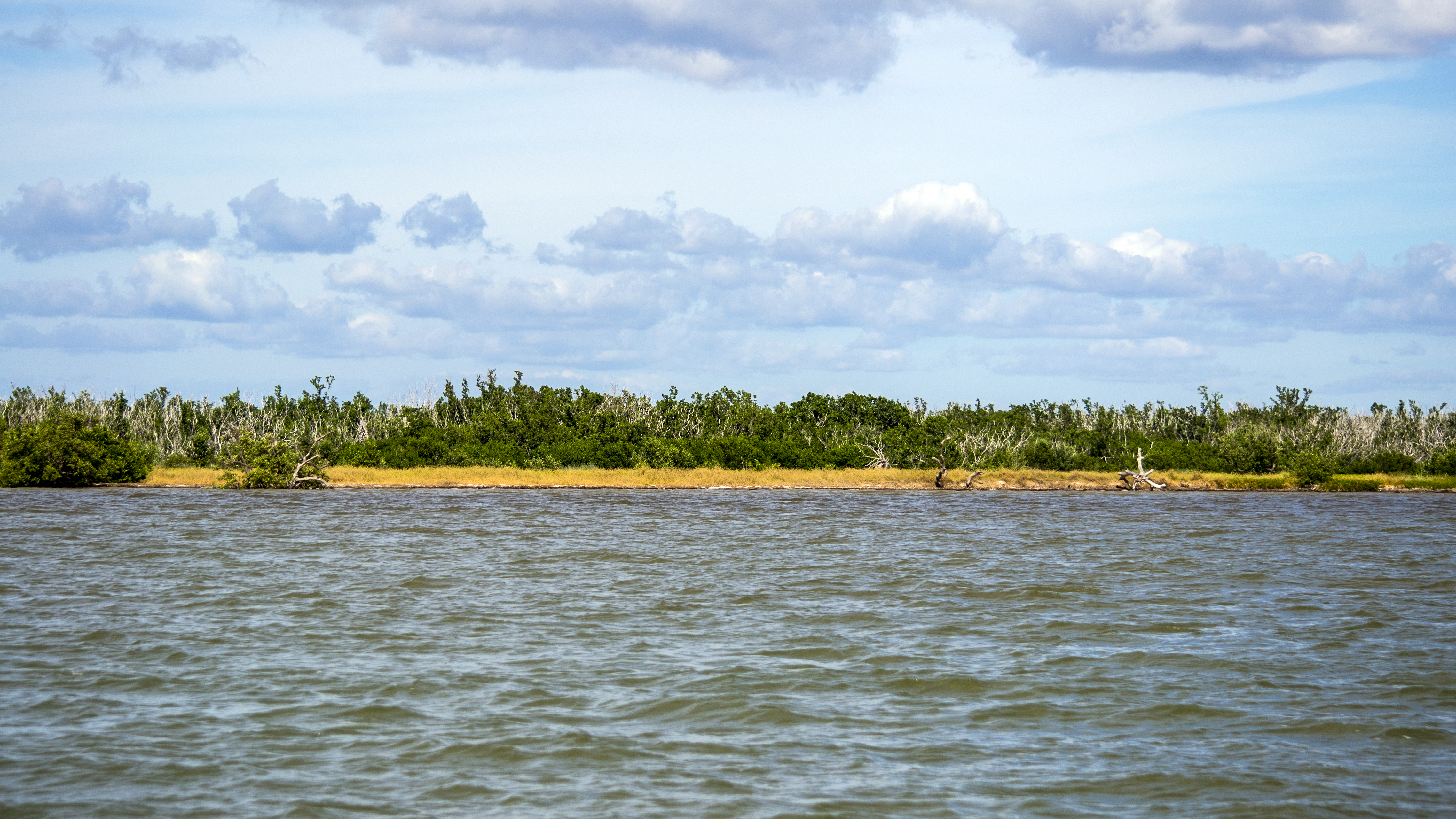 Scenic view in Everglades NP