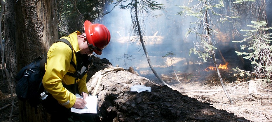 A firefighter writes on an piece of paper near a large log, while a fire burns with small flames nearby.