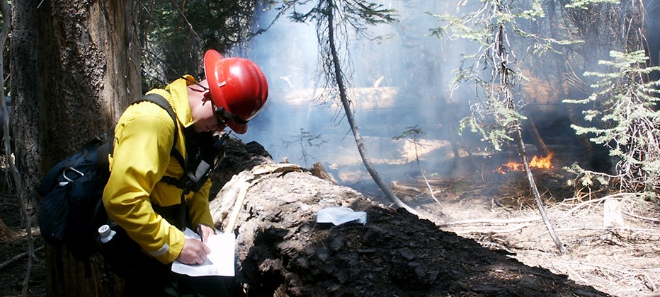 Monitoring fire behavior A firefighter writes on an piece of paper near a large log, while a fire burns with small flames nearby.
