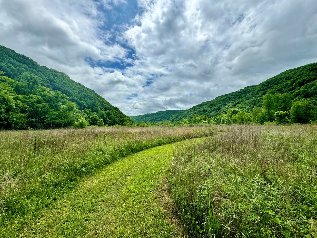 Rolling green field with blue skies